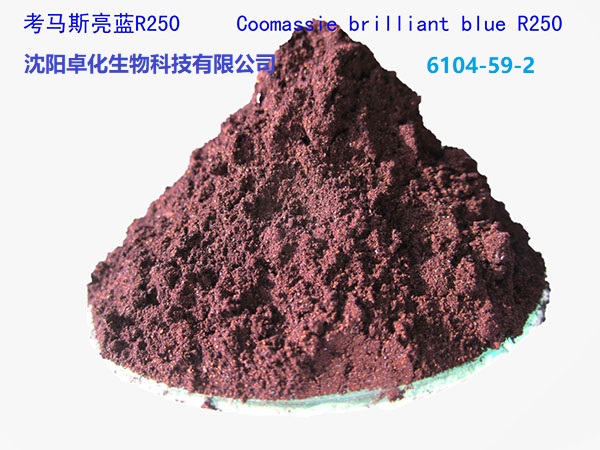 考马斯亮蓝R250 6104-59-2 产品图片